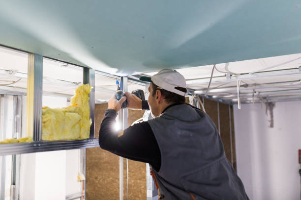 Best Insulation Installation Services in Milan, OH